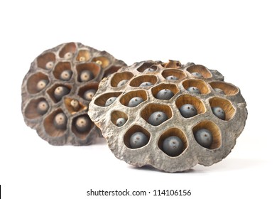 Dried Lotus Seed Pod