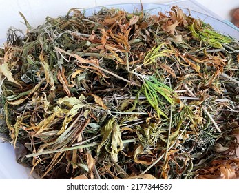 Dried marijuana leaves on the plate