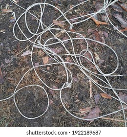 dried up meadow with string