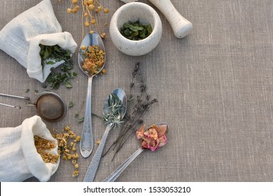 Dried Medical Herbs For Herbal Tea, Natural Medicine, Home Apothecary, Phytotherapy, Herbalism Concept, Flat Lay With Copy Space.