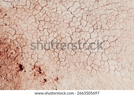 Dried mud surface - dry riverbed earth texture. Drought in Texas.
