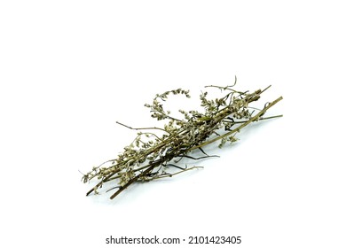 Dried Mugwort Isolated On White Background