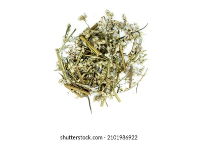 Dried Mugwort Isolated On White Background