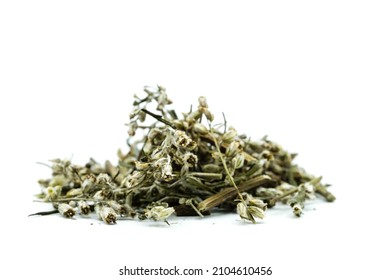 Dried Mugwort Isolated On White Background