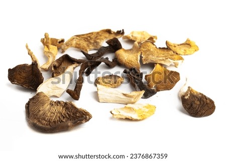 Dried mushrooms on a white background. Dried mushroom mixture isolated on white background.