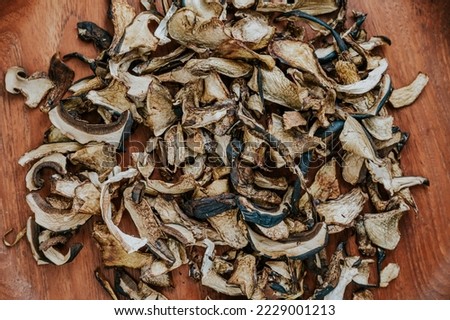 dried mushrooms on a wooden plate, rustic. Mushroom variety Flake-stemmed witch's boletus, Neoboletus