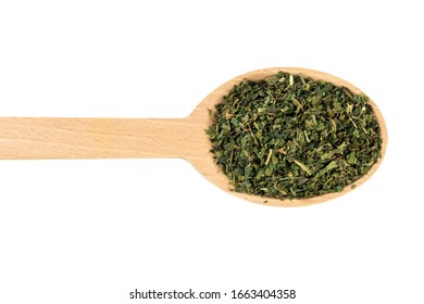 dried nettle herb or in latin Utricae folium in wooden spoon isolated on white background. medicinal healing herbs. herbal medicine. alternative medicine