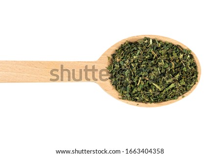 dried nettle herb or in latin Utricae folium in wooden spoon isolated on white background. medicinal healing herbs. herbal medicine. alternative medicine