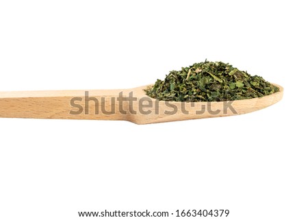 dried nettle herb or in latin Utricae folium in wooden spoon isolated on white background. medicinal healing herbs. herbal medicine. alternative medicine