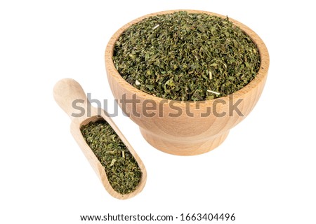 dried nettle herb or in latin Utricae folium in wooden bowl and scoop isolated on white background. medicinal healing herbs. herbal medicine. alternative medicine