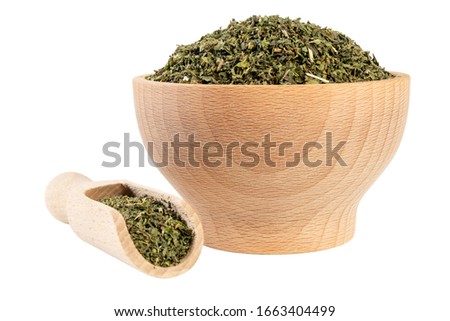 dried nettle herb or in latin Utricae folium in wooden bowl and scoop isolated on white background. medicinal healing herbs. herbal medicine. alternative medicine