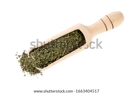 dried nettle herb or in latin Utricae folium in wooden scoop isolated on white background. medicinal healing herbs. herbal medicine. alternative medicine