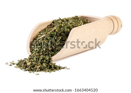 dried nettle herb or in latin Utricae folium in wooden scoop isolated on white background. medicinal healing herbs. herbal medicine. alternative medicine