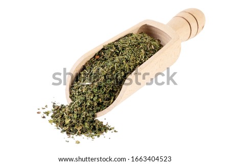 dried nettle herb or in latin Utricae folium in wooden scoop isolated on white background. medicinal healing herbs. herbal medicine. alternative medicine