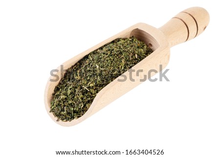 dried nettle herb or in latin Utricae folium in wooden scoop isolated on white background. medicinal healing herbs. herbal medicine. alternative medicine