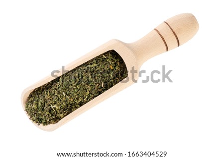 dried nettle herb or in latin Utricae folium in wooden scoop isolated on white background. medicinal healing herbs. herbal medicine. alternative medicine