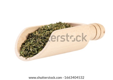 dried nettle herb or in latin Utricae folium in wooden scoop isolated on white background. medicinal healing herbs. herbal medicine. alternative medicine