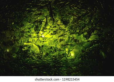 Dried Nori Seaweed Laminaria Sheet Illuminated Texture