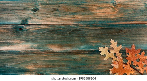 Dried Oak Leaves On Faded Blue Wood Planks For Either A Halloween Or Thanksgiving Holiday Concept Background