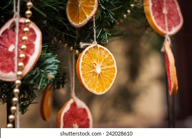 Dried Orange And Grapefruit Decoration Hanging On Christmas Tree Branch