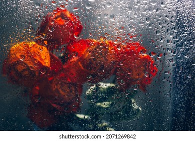 Dried orange roses. Bunch of beautiful faded flowers through the glass with rain drops. Sad love concept. Copy space, grey background