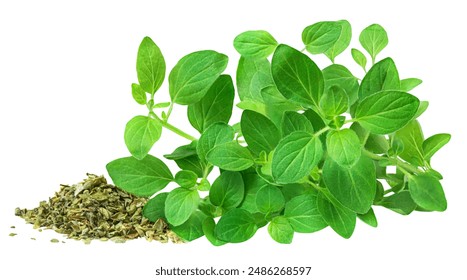 Dried Oregano herbs isolated on white background. Pile of chopped oregano or Majoram plant with fresh leaves close up. 
 - Powered by Shutterstock