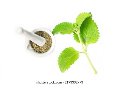 Dried Oregano Powder Macerated In White Mortar With Natural Oreg