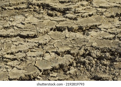 Dried Out Soil In Heat And Dryness In Summer Time