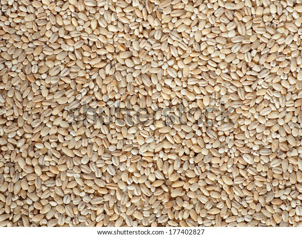Dried pearled\
barley closeup flat food\
background