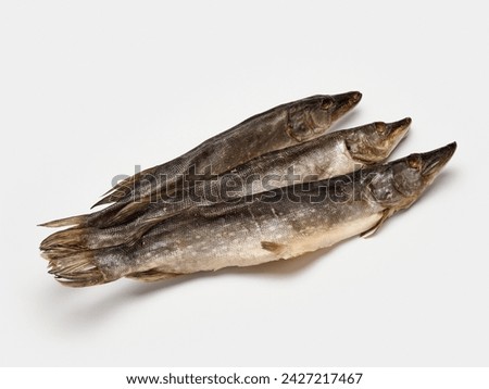 dried pike perch isolate on a white background