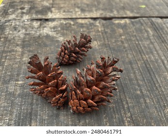 Dried Pine Cones Resting on Weathered Wood - Powered by Shutterstock