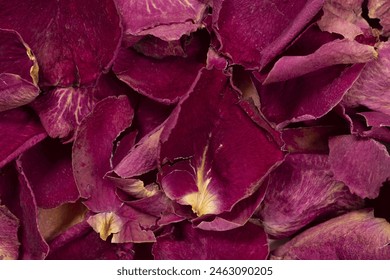 Dried pink rose petals close up shot from above. Old organic fragile flower leafs being used for scents in perfume fragrances or potpourri. Macro detail shot, selective focus  - Powered by Shutterstock