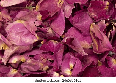 Dried pink rose petals top view. Old organic fragile flower leafs being used for scents in perfume fragrances or potpourri. Macro close up detail shot, selective focus  - Powered by Shutterstock