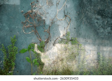 dried plants between two layers of dity glass                                