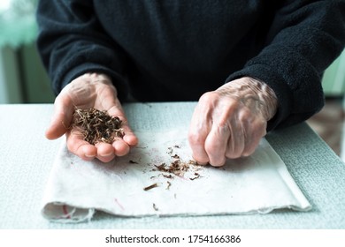 old women s hand wallpaper images stock photos vectors shutterstock https www shutterstock com image photo dried plants on old womans hand 1754166386