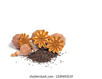 Dried  poppy capsules with seeds against white background