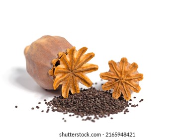 Dried  poppy capsules with seeds against white background