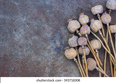 Dried Poppy Heads And Grains. Opium Drugs, Opiate, Heroin. Empty Space For Text
