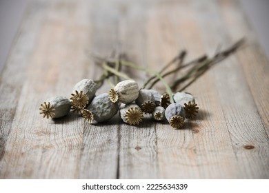 dried poppy seed heads on wooden table 