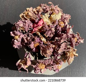 Dried Purple Daisies In Concrete Flower Pot