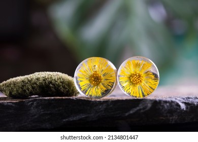 Dried Real Flower Ear Plugs Magic Resin Gauges And Tunnels In Eco Epoxy Resin, Gift For Her, Botanical Plugs Jewelry, Floral Tunnels