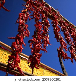 Dried red chili peppers hanging under a clear blue sky in front of a wooden structure. - Powered by Shutterstock