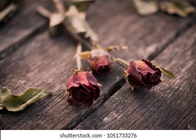 broken hearts with roses