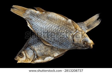Dried river fish pair with silver scales, isolated on black background