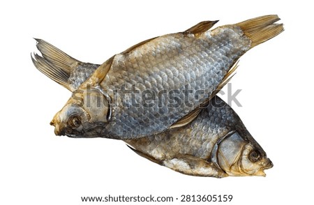 Dried river fish pair with silver scales, isolated on white background