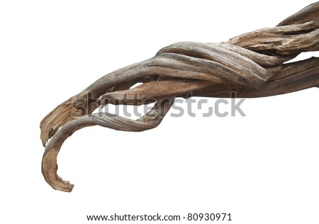 Dried roots isolated on white background.