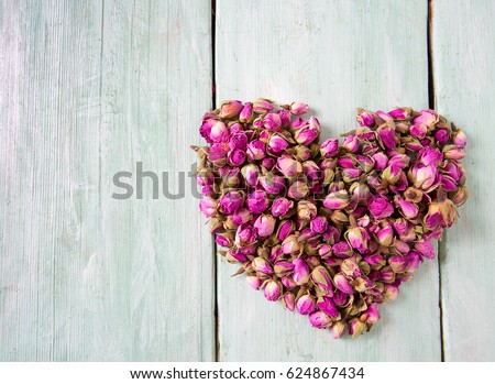 Image, Stock Photo Rose dries up Plant Flower