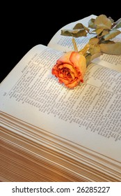 Dried Rose On An Open Book - Romeo And Juliet