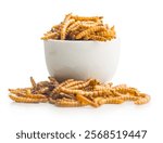 Dried salted worms. Roasted mealworms in bowl isolated on a white background.