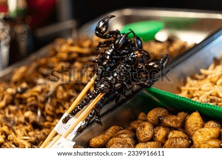 Dried scorpion on a wooden stick. Exotic Thai street food snack